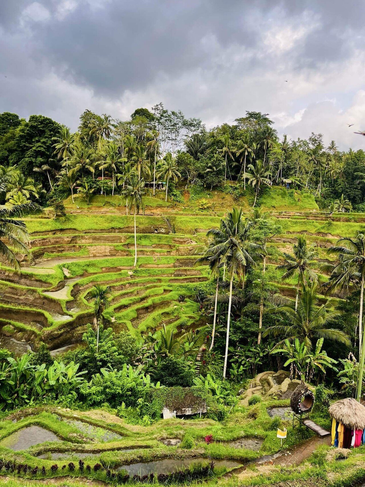 バリ島10日旅で見えた、楽園の“表と裏”｜脱サラして海外🇦🇺に逃げる