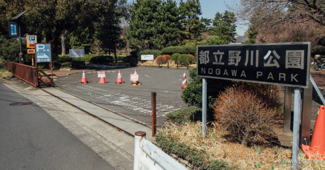 当時のメディア報道・掲載写真