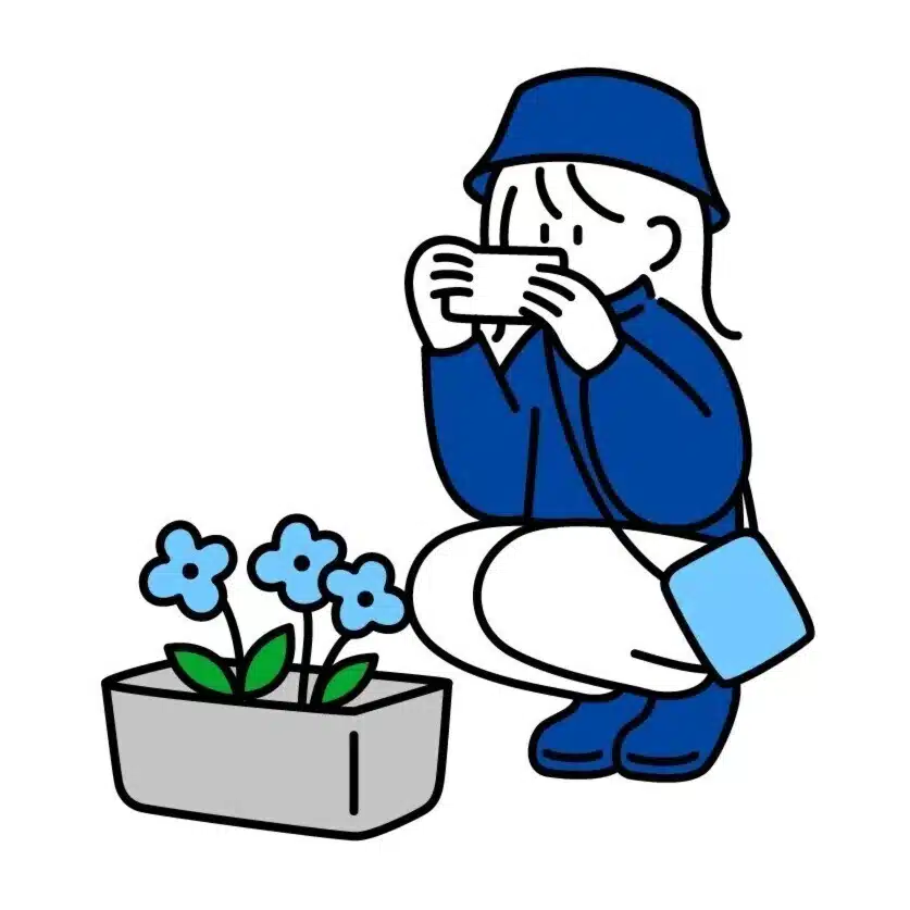 ちょん