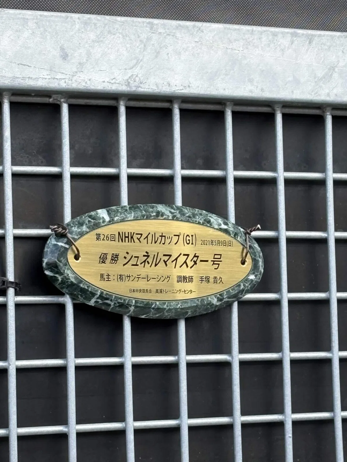 美浦トレーニングセンターの実態とは？2600頭を鍛える東の調教拠点と見学手順を徹底解剖