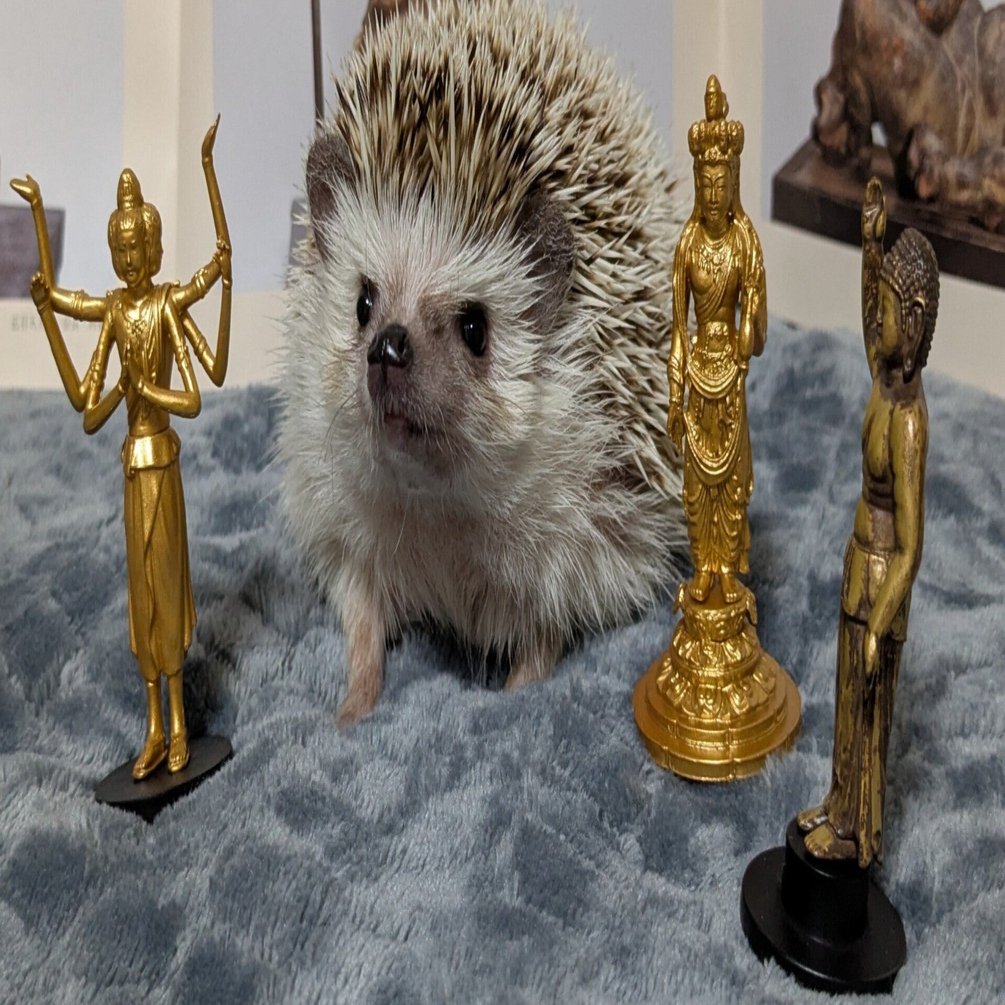 2026年2月19日（木）仏像ブーム到来｜和さん