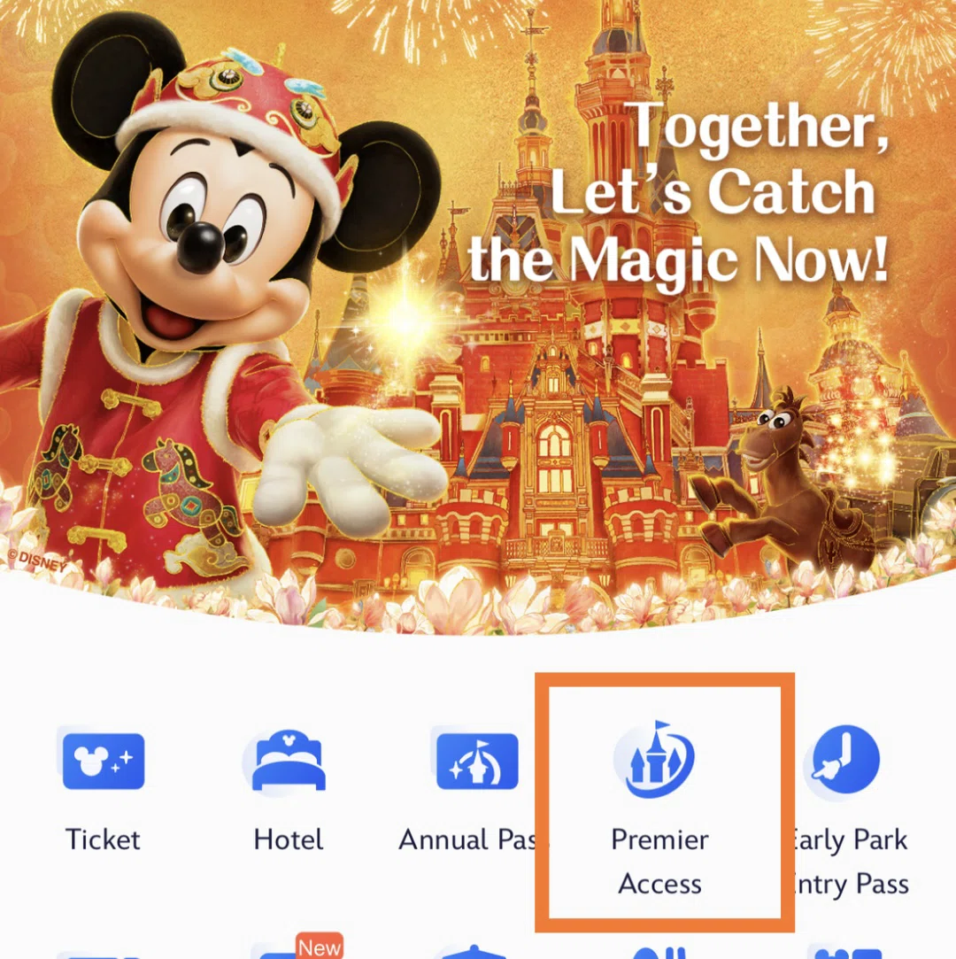 子連れ上海ディズニー｜DPA付きチケットで失敗した話〜5種類全部見た