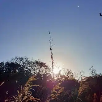 白石　宮