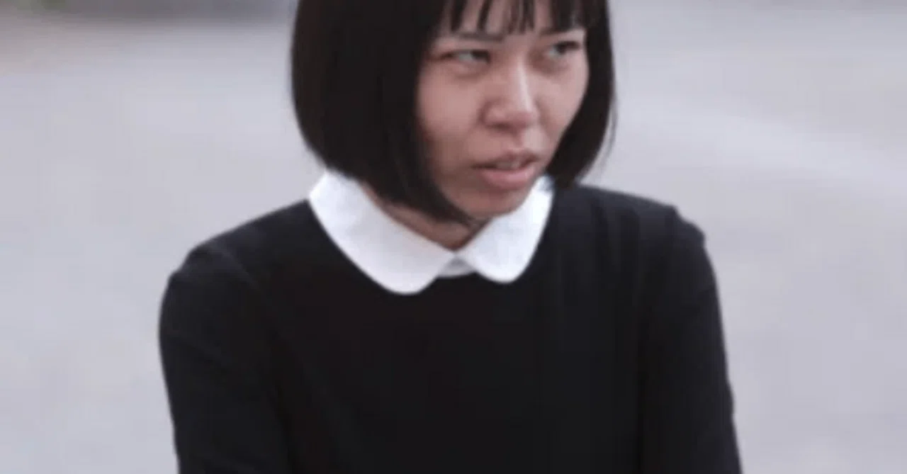 総特集 大石恵美・ダダルズ（切実とナンセンスによる脳髄の濁流 