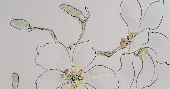 2月20日】お花🌸コブシ（辛夷）｜こうこ