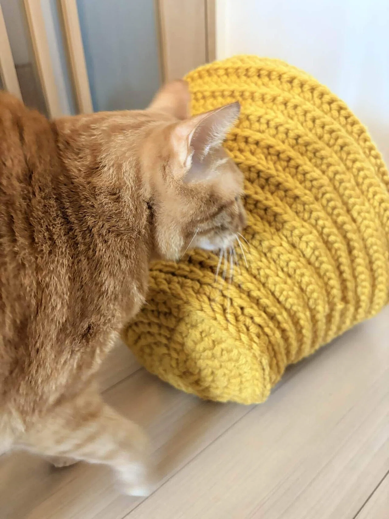 3年待った「高級猫ちぐら」を無視されたので、編み物初心者がキャット