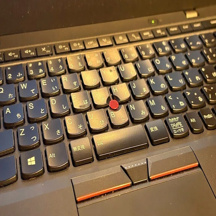 ThinkPad and Linux Mint as Tools for Thinking Vol. 5: Choosing