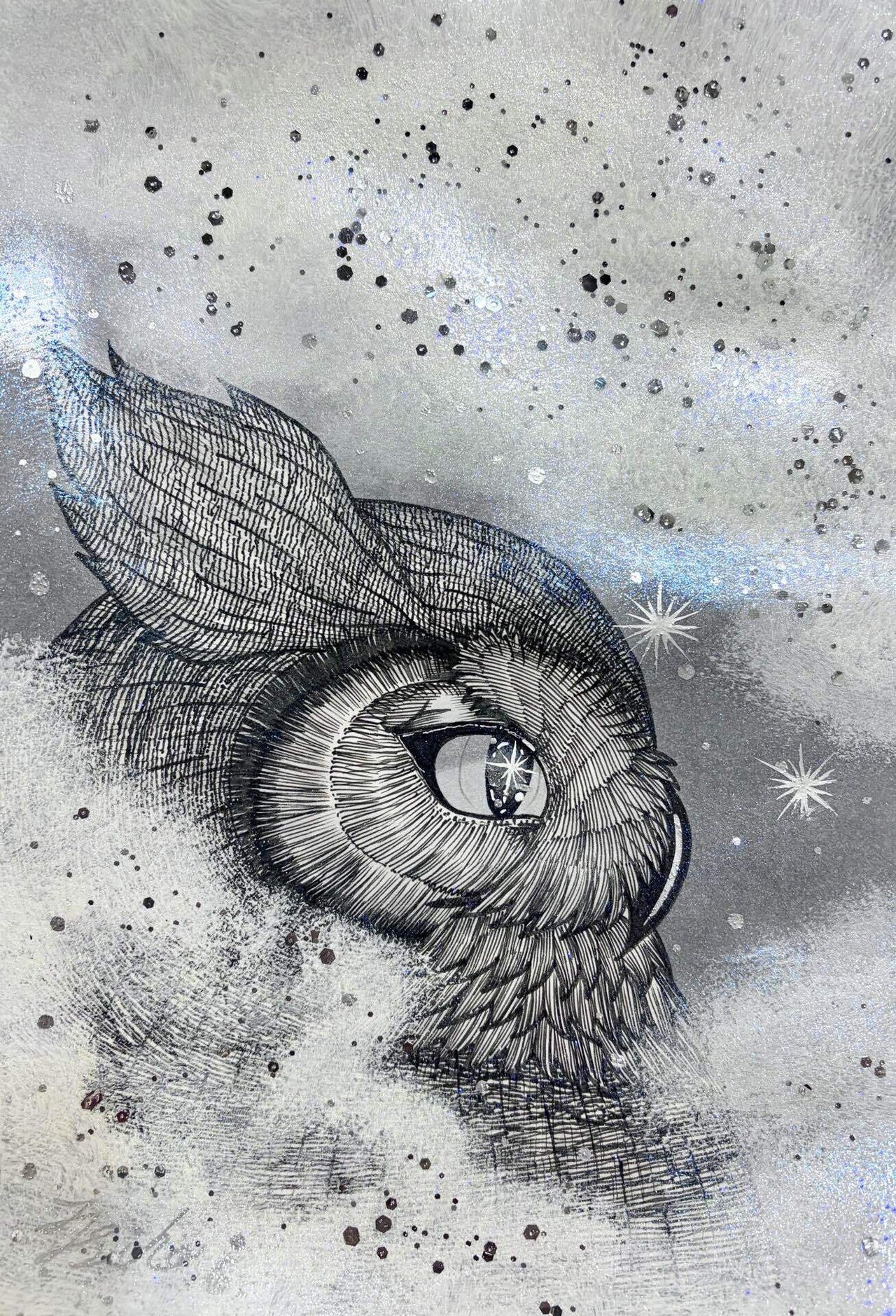 ✨今日の一枚✨｜フクロウシホ