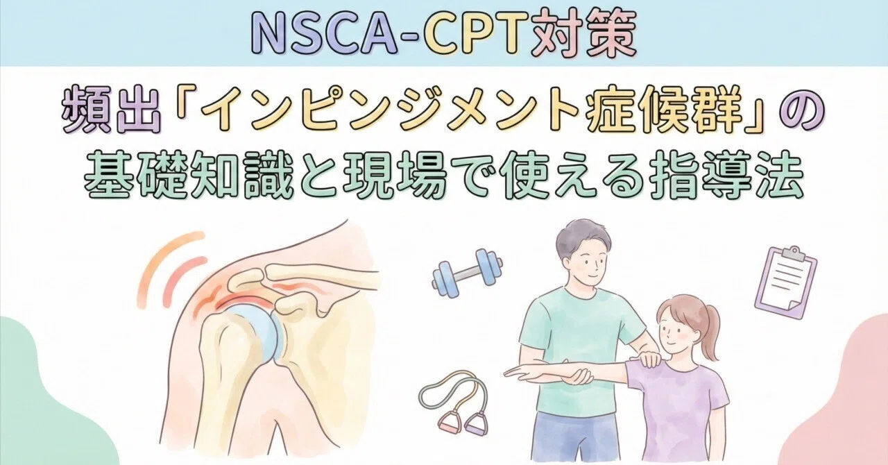 NSCA-CPT対策】頻出「インピンジメント症候群」の基礎知識と現場で