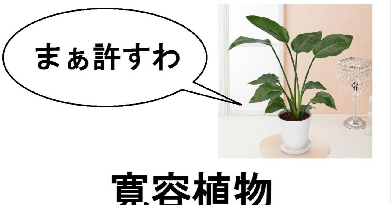寛容植物になった話 なつや Note 寛容植物になった話 なつや Note