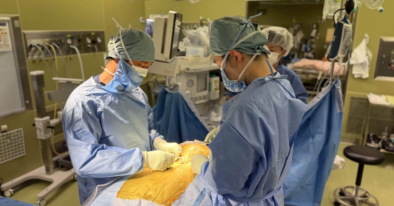 The Surgeon