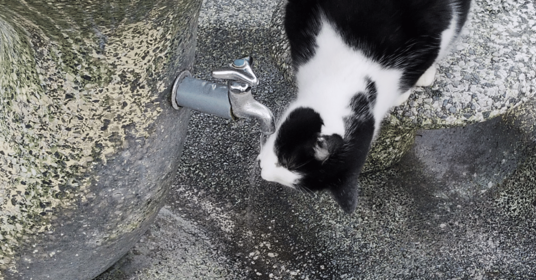 乃木坂46 8名 写真を記憶｜sora1118