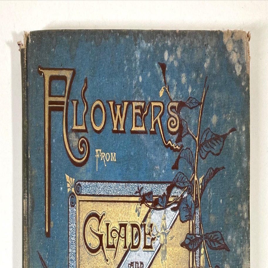 林間と庭園の花々｜daily-sumus note