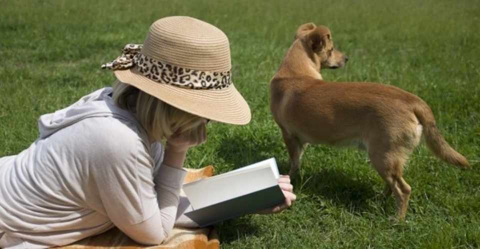 1日1行読むだけで頭良くなる本 メンタリストdaigoから学ぶ心理学 つくアカ 個ンテンツづくりアカデミー Note