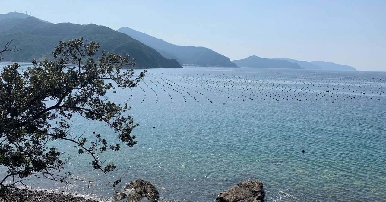 ﾌﾞﾘﾁｬﾝと学ぶブリについて 後編 ﾌﾞﾘﾁｬﾝ Note