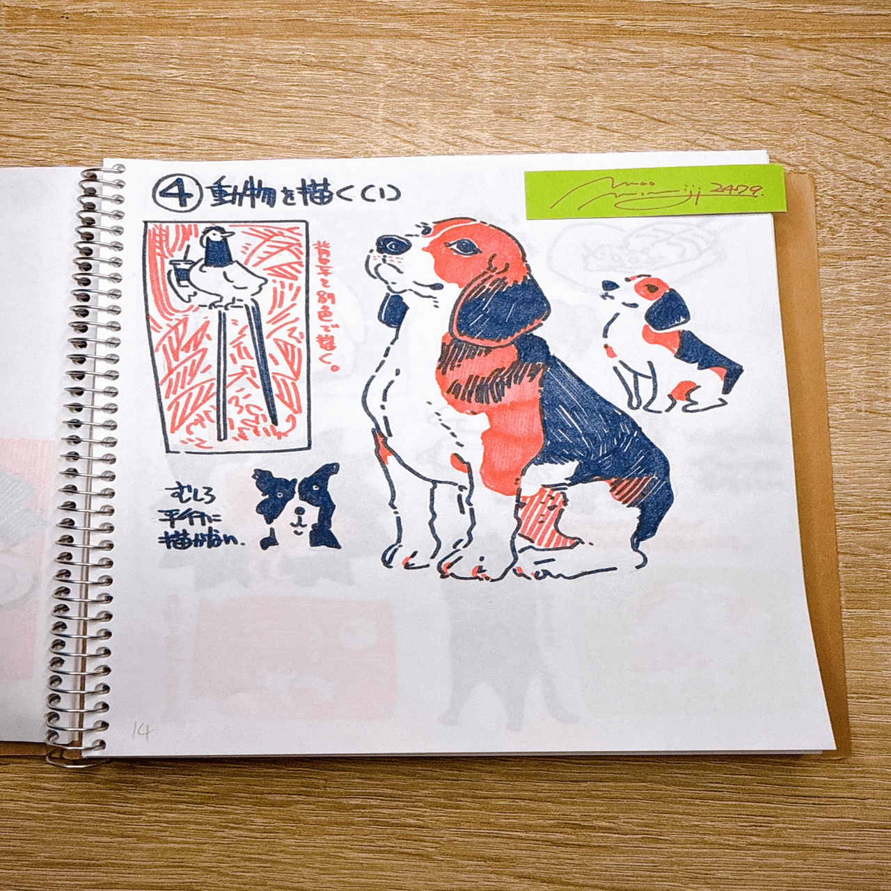 DAY2479:課題④動物を描く/Assignment 4: Drawing animals.」｜もみじ