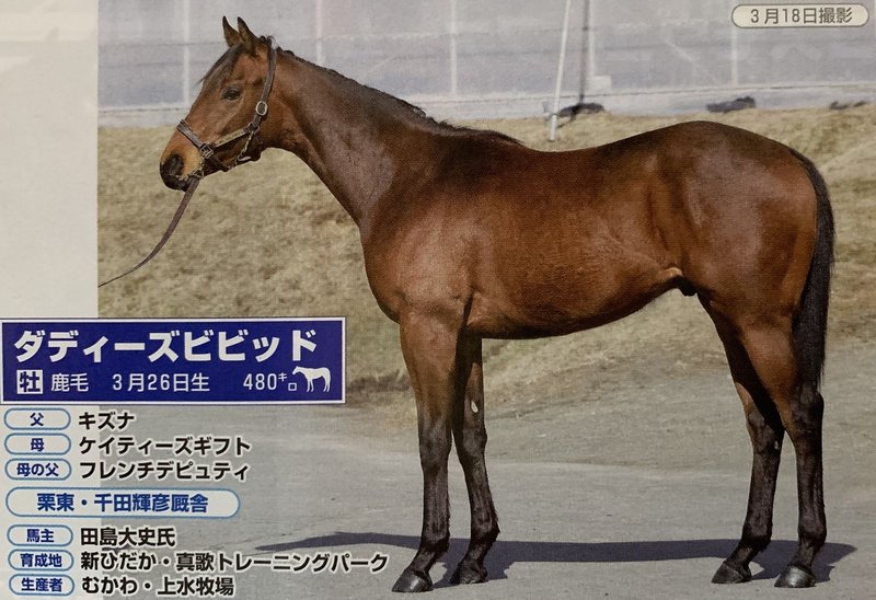 Pog特集 注目2歳馬 一口馬主マスターb Note