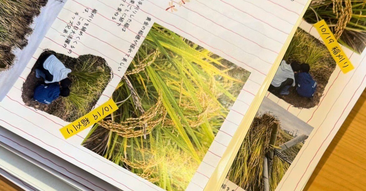 初めてCANVAでカラー写真ページを作る〜ZINE「みんなで米を作る」が