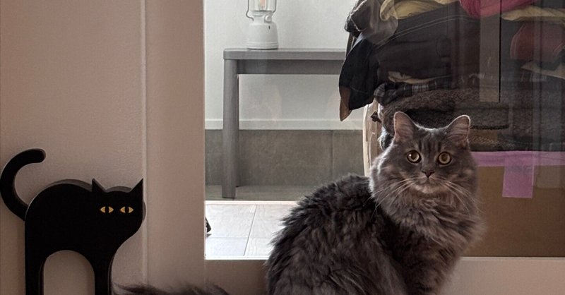 2/22はフリマ出店