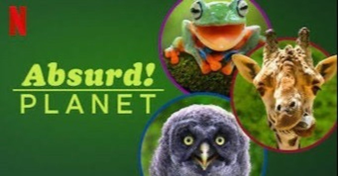 ネタバレ無し 新世代のアニマル番組 へんてこプラネット 感想 じきどらむ note