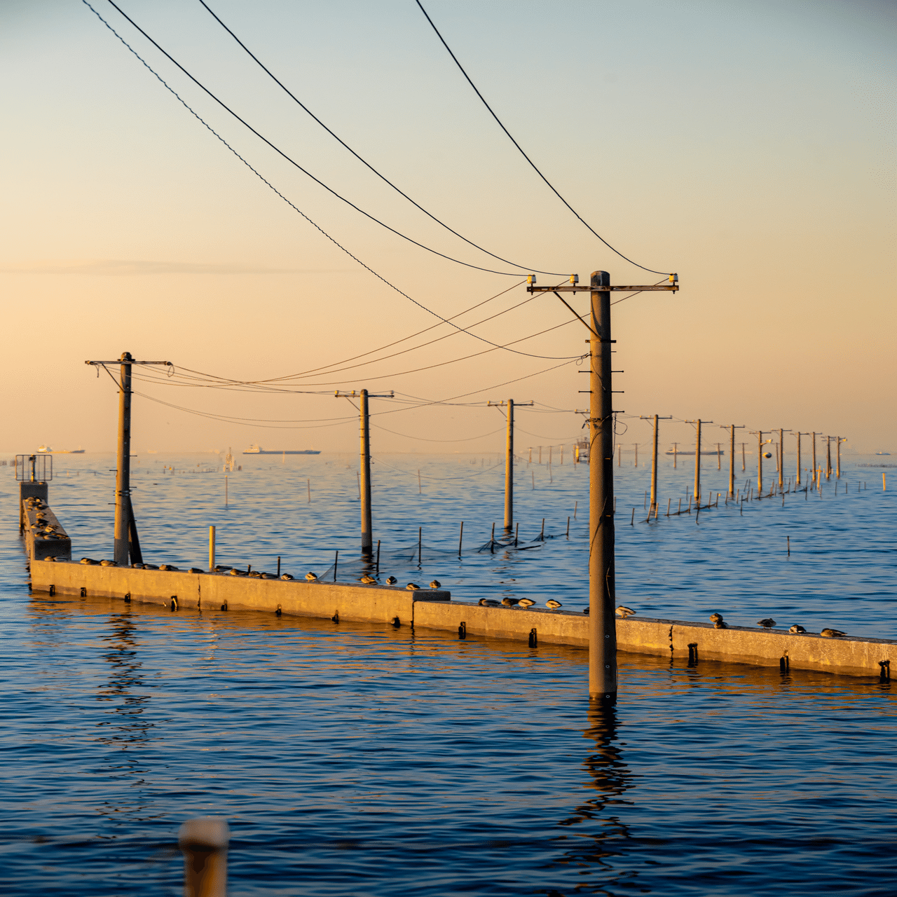 写レポ】NIKKOR Z 28-400mm f-8 VR｜千葉県｜木更津｜写真スポット