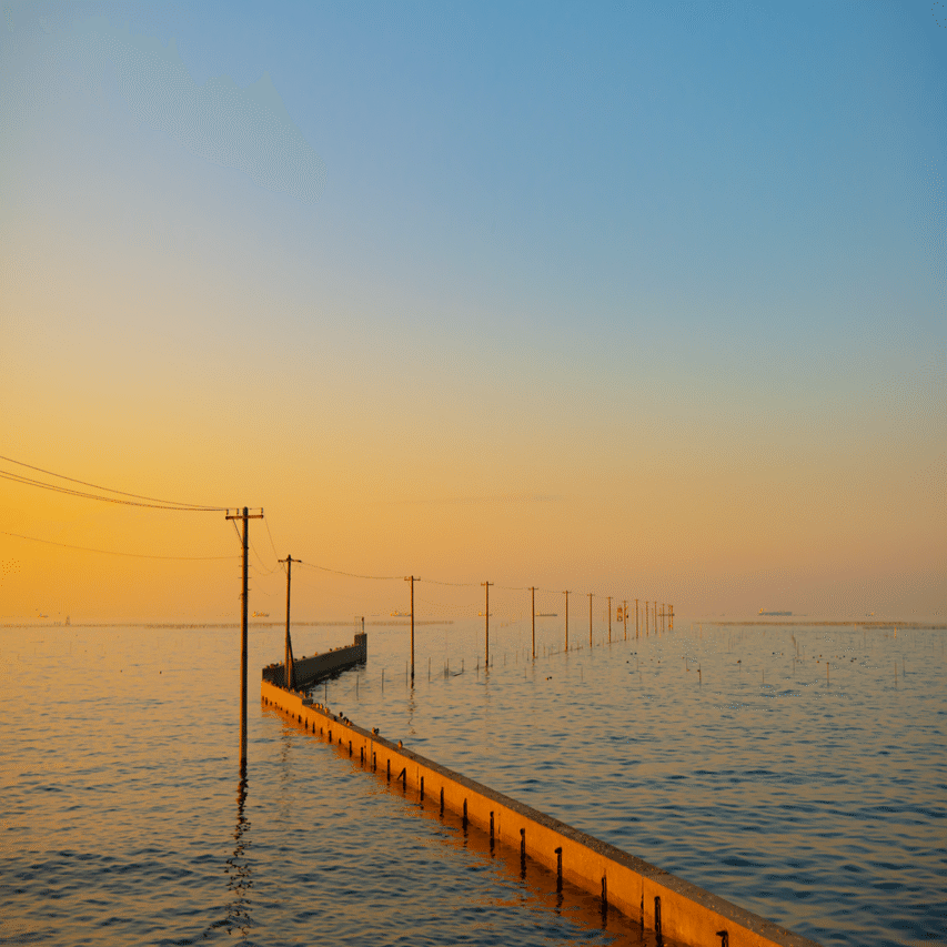 写レポ】NIKKOR Z 28-400mm f-8 VR｜千葉県｜木更津｜写真スポット