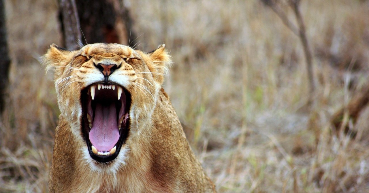 Anger Management 9 Tips To Control Your Anger Yuji Yamane 自他共栄しよう Note