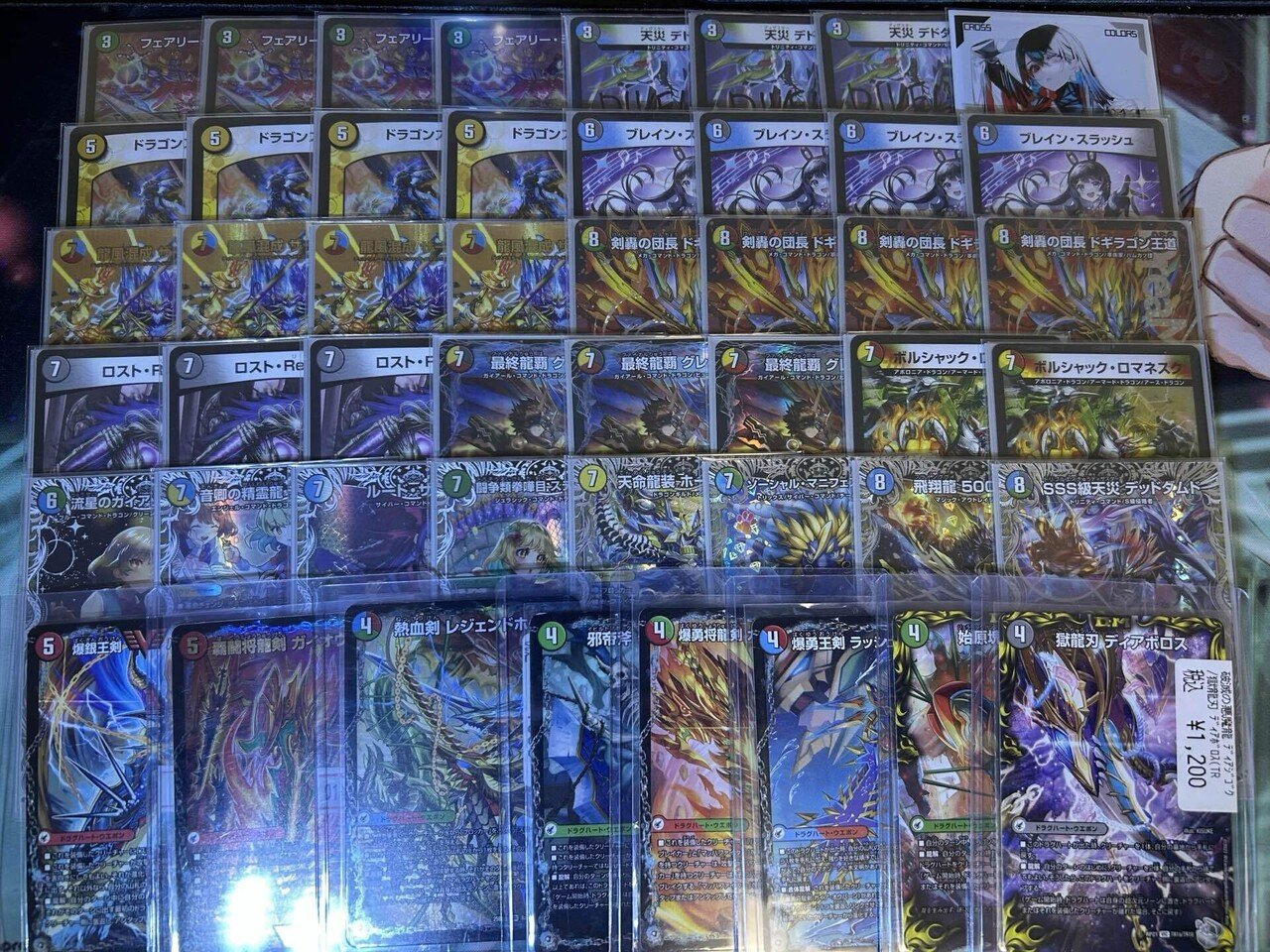 新生5Cザーディ、解説｜みょうが