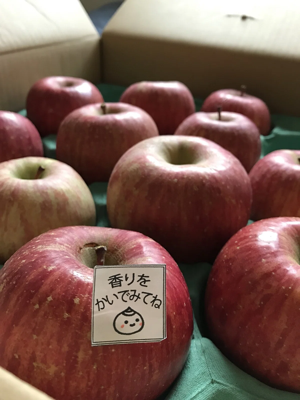 画像10