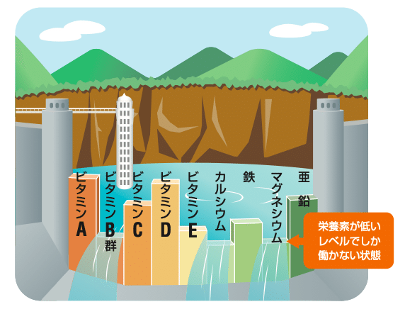 スクリーンショット 2020-02-19 6.21.25