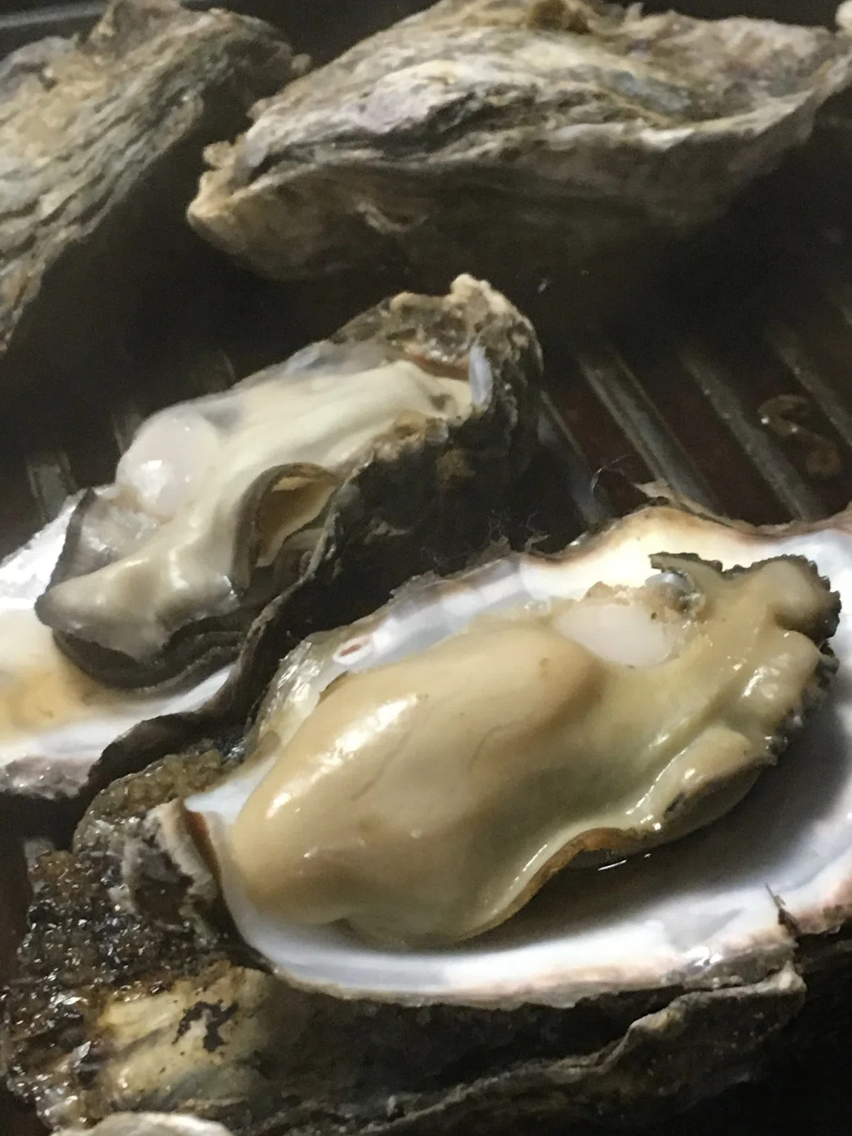 画像14