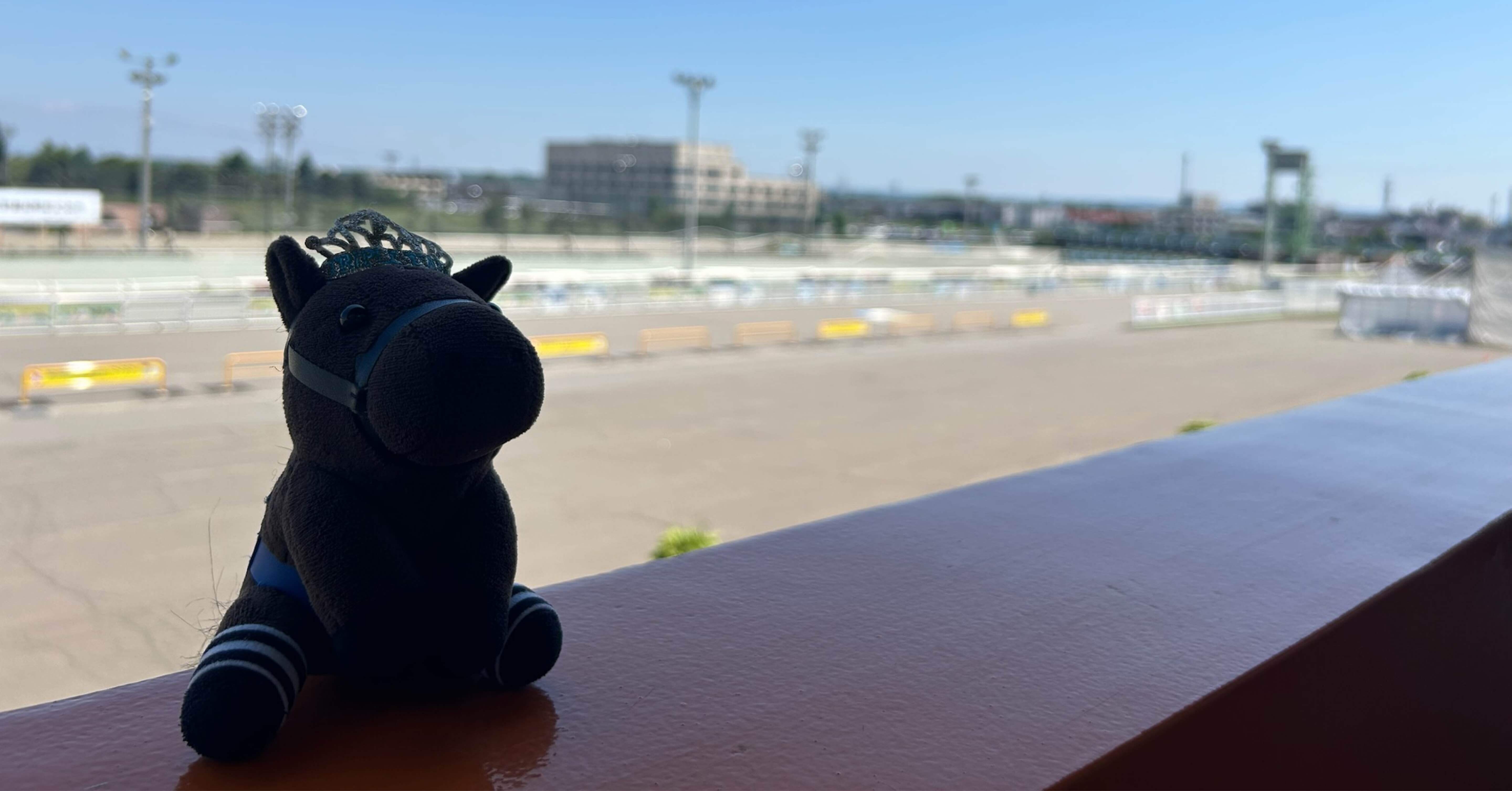 Between the Odds｜2026.2.21 阪神競馬10R 注目馬｜Between the Odds