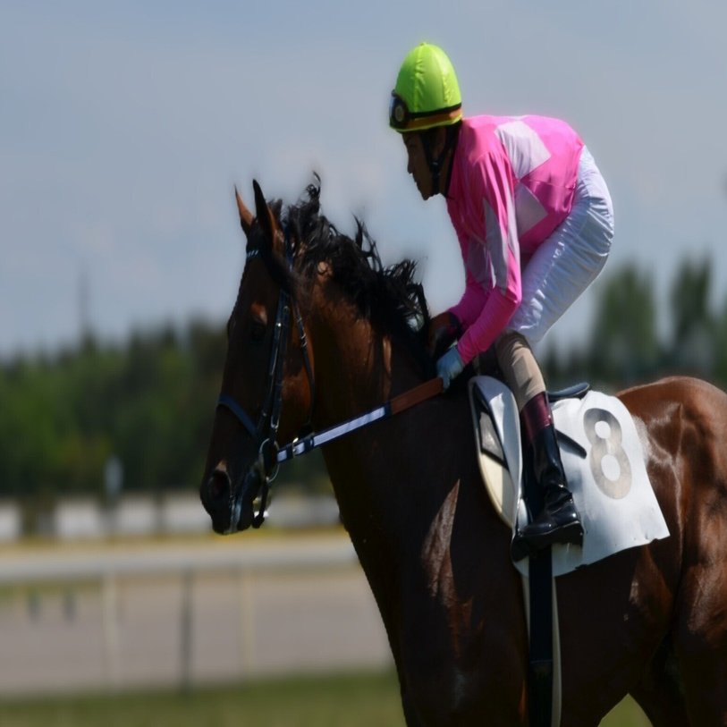 2026年2月21日の独り言【買い目日記】｜安定コツコツ馬券士の独り言