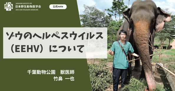 公式】日本野生動物医学会｜note