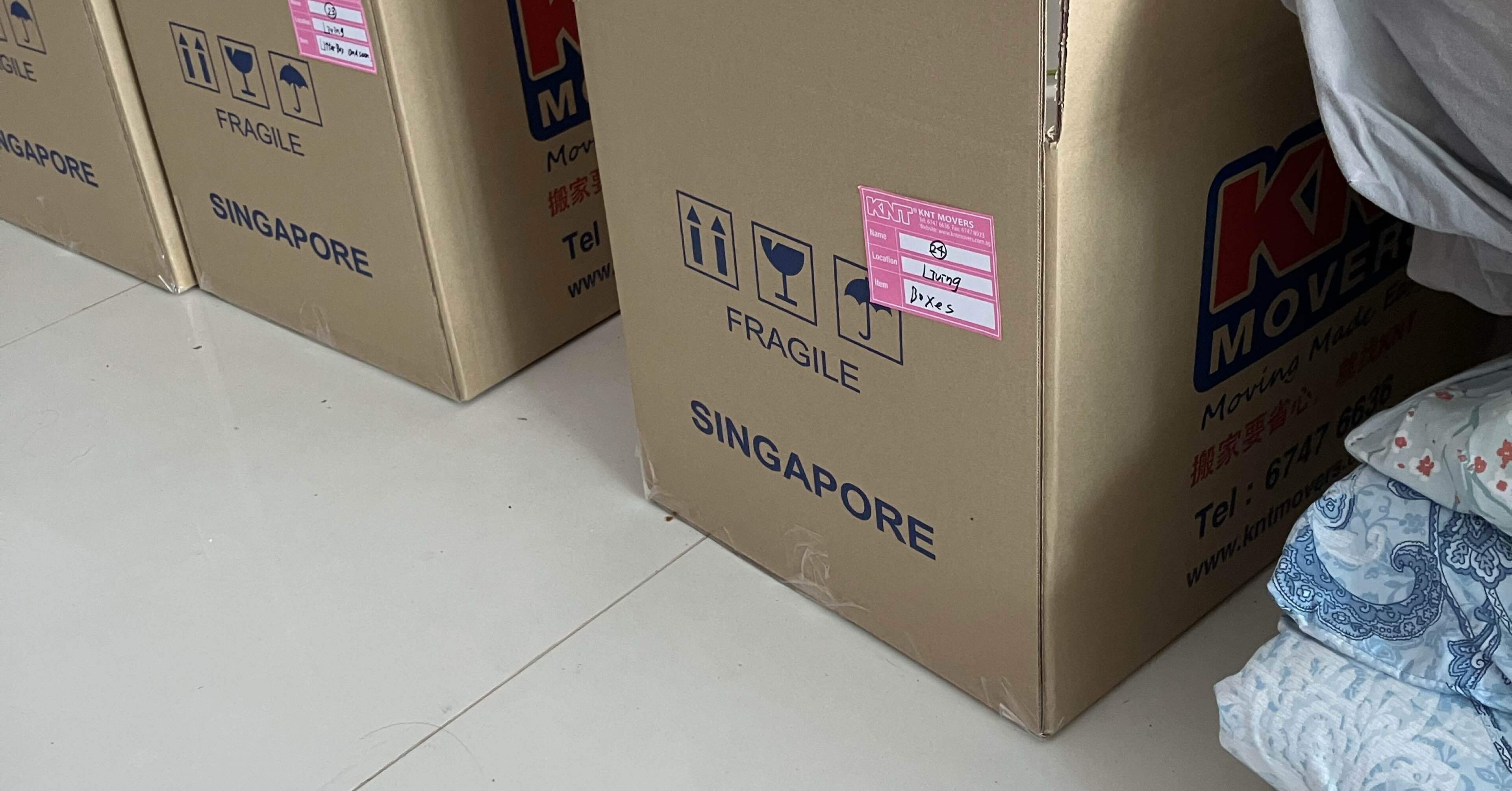 引越し当日編】まさかの遅刻・エレベーター停止・荷物過多！？それでも