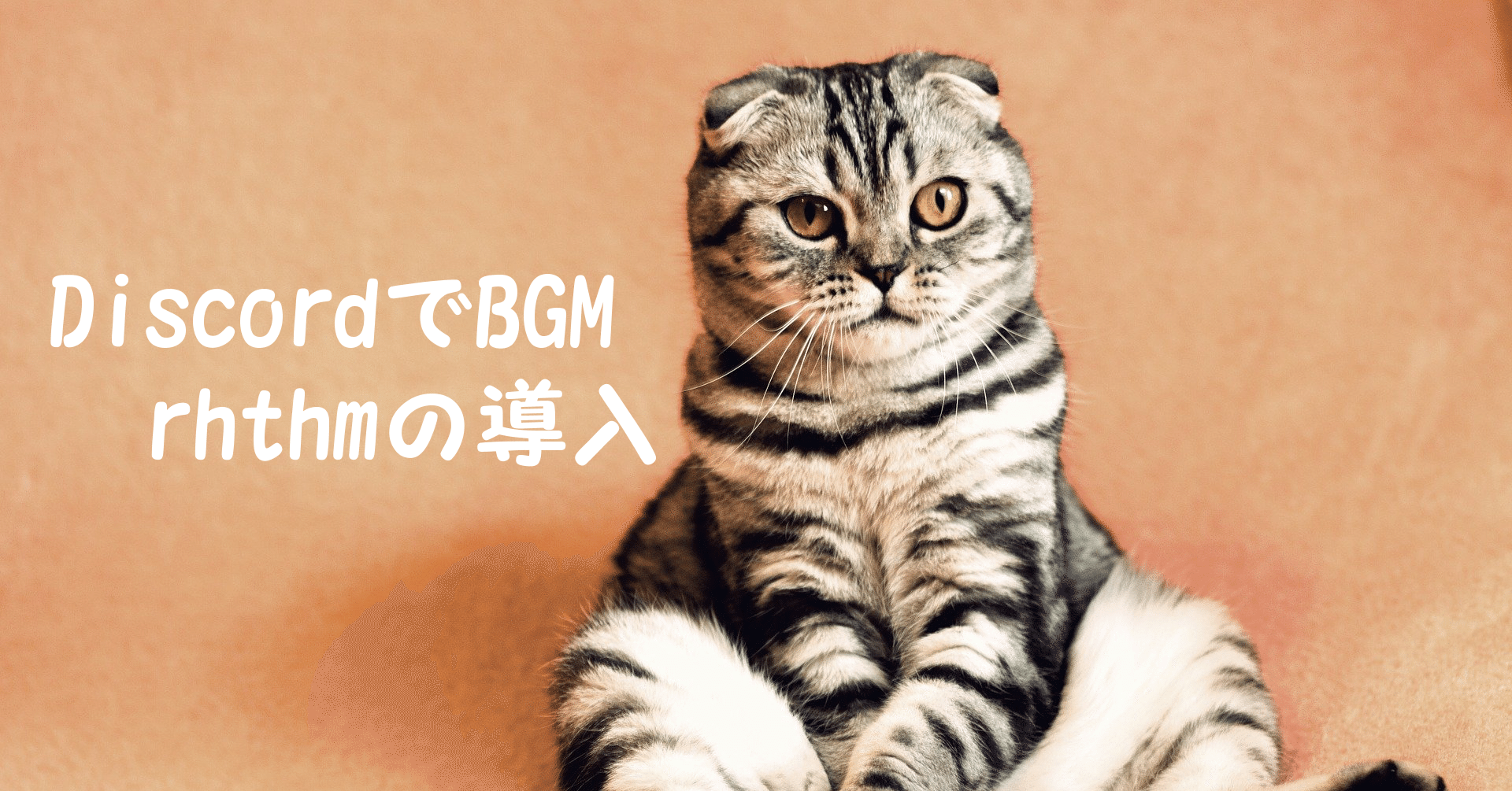 Discordでbgmを流す Rythm編 猫あきら Note