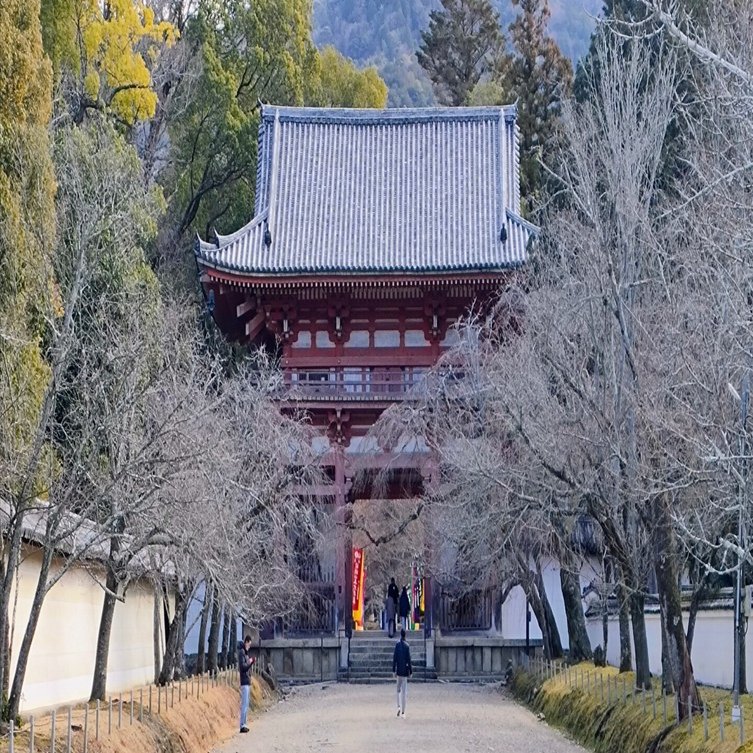 冬の京都の寺は、なぜあんなに寒いのか。醍醐寺で出会った「夏のための