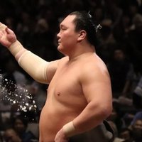 四股の美しさ 野猿 やえん Note