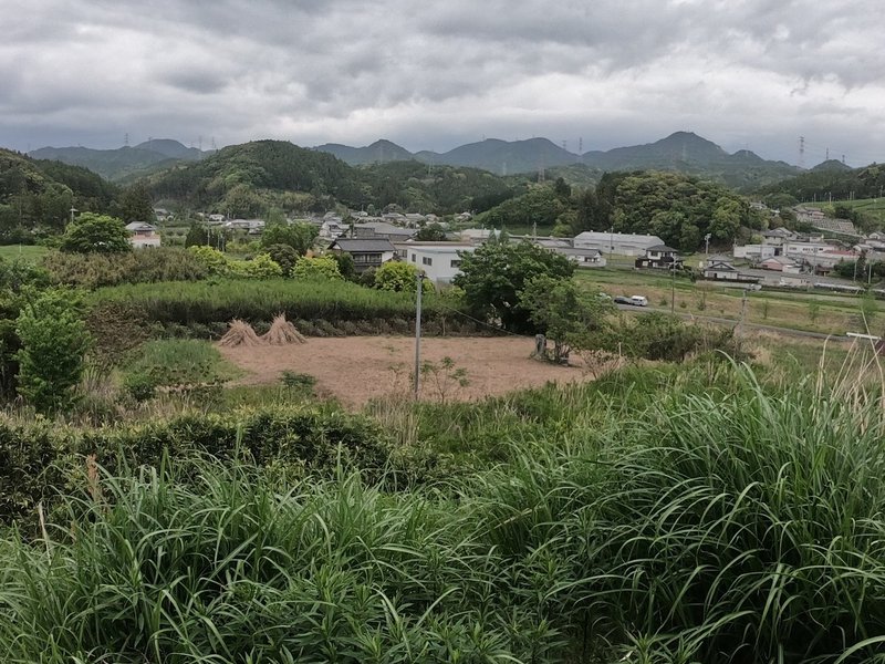 画像15