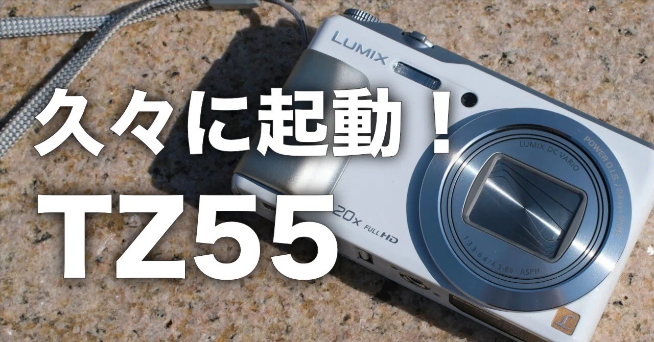 ★GWセール中★【動作確認済】Panasonic　 LUMIX DMC-TZ55 Panasonic LUMIX DMC-TZ55 起動！｜コンデジタロウ