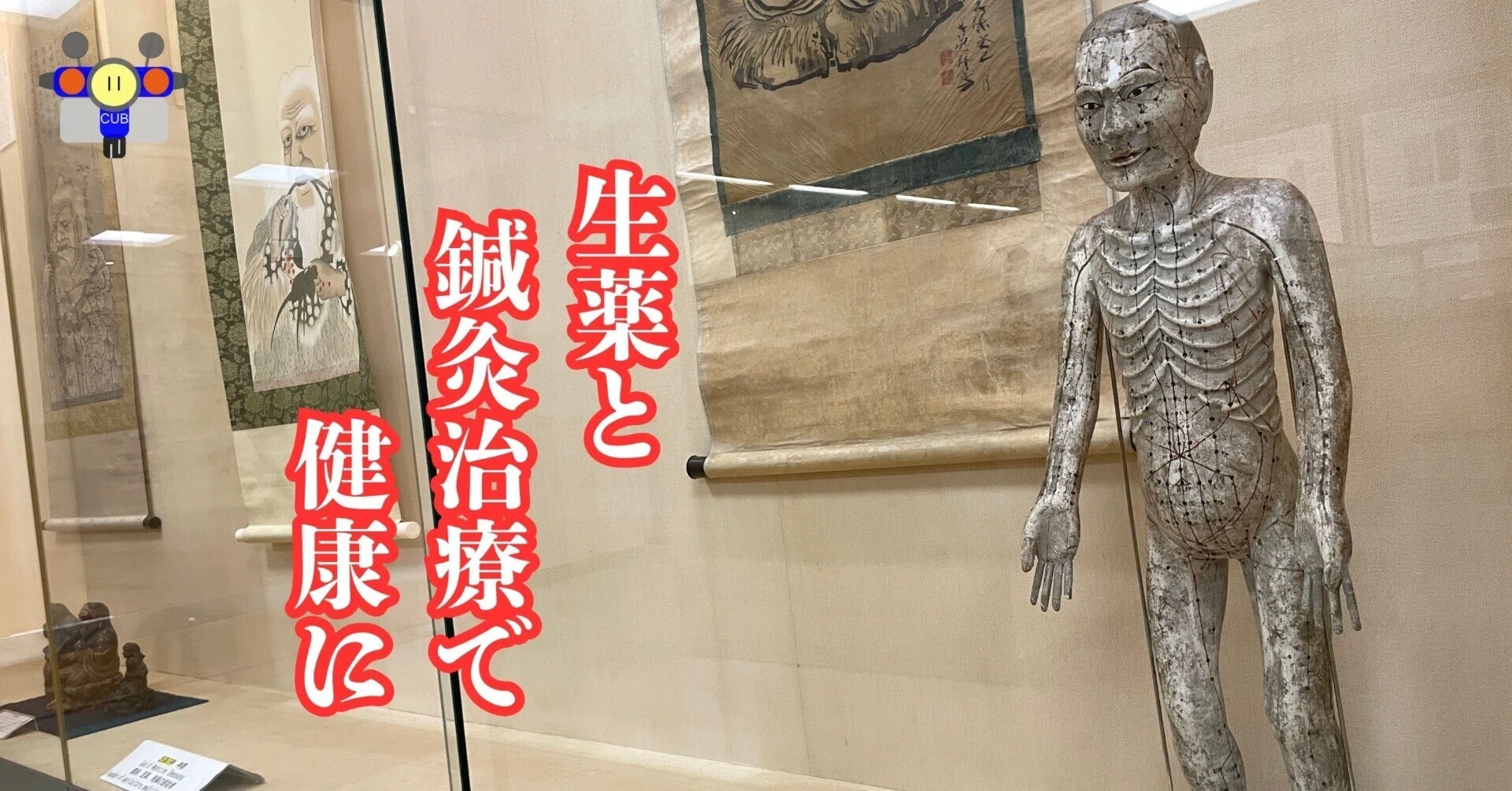 すごい博物館157】北里大学北里研究所病院・東洋医学資料展示室：古代 