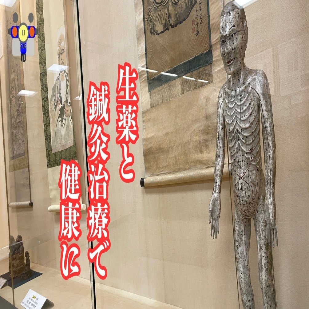 すごい博物館157】北里大学北里研究所病院・東洋医学資料展示室：古代