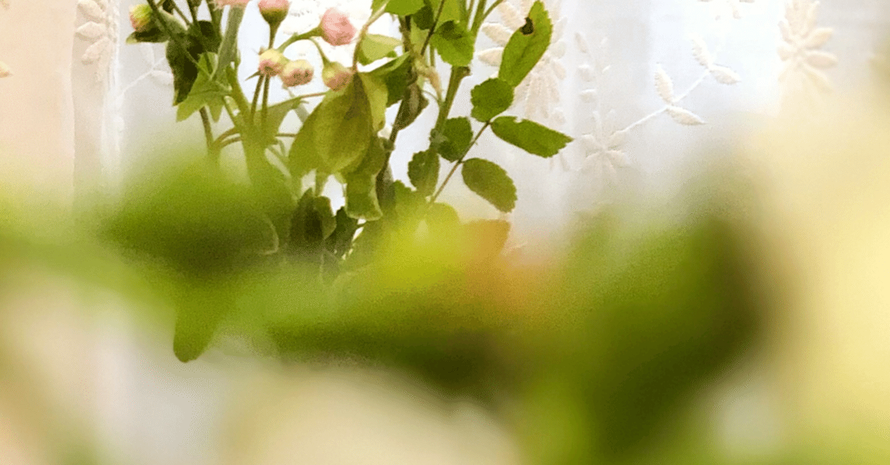 読了記録no 13 置かれた場所で咲きなさい 渡辺和子さん著 飯島さとか Note