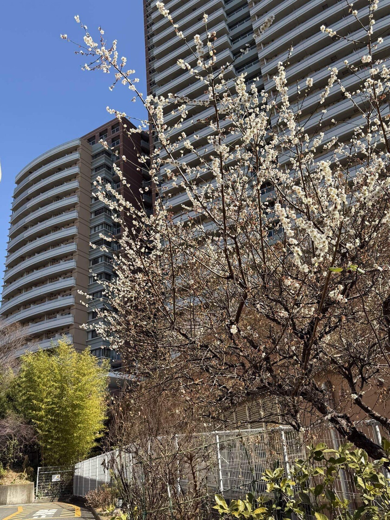 徒然日記20260221【🇹🇼台湾情報】Billboard Live TAIPEIが台北・信義