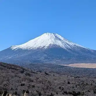 寿命カレンダー