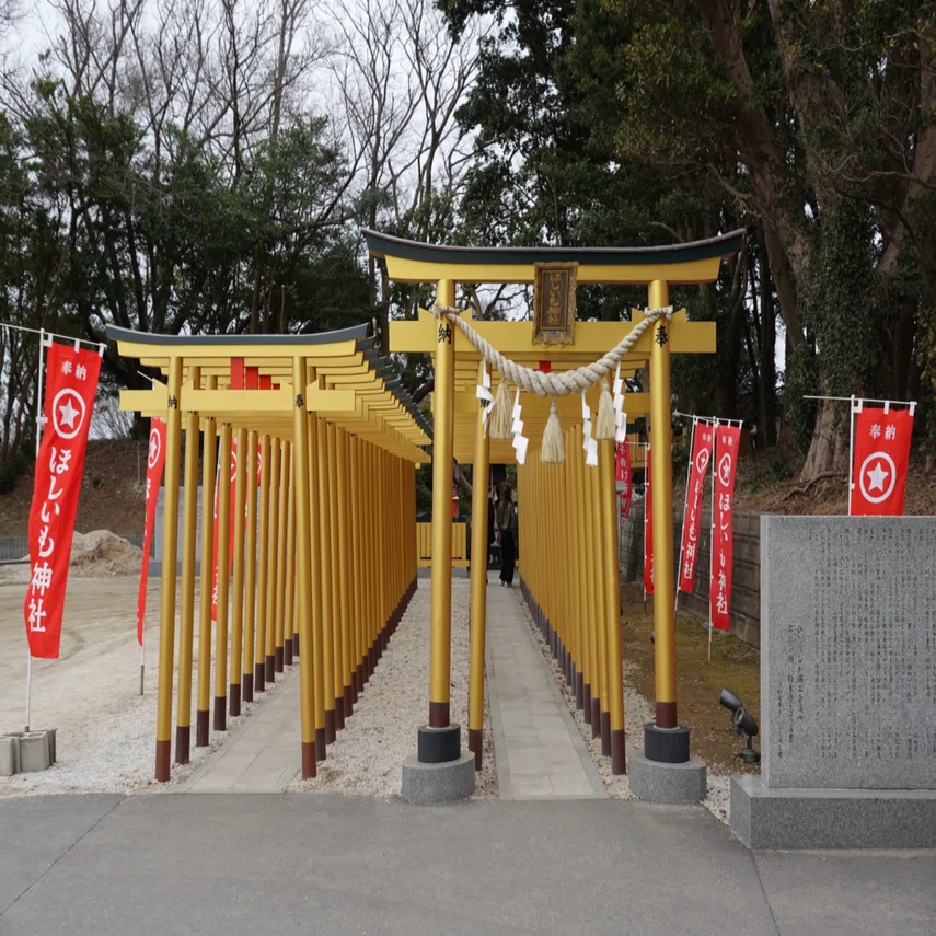 茨城・海辺の神社①】黄金の鳥居をくぐれる「ほしいも神社」開運