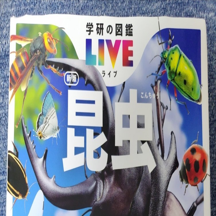 神的な一冊「学研の図鑑LIVE(ライブ) 昆虫新版 学研出版」｜itsuki0521