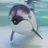 ひろ