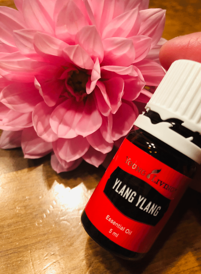 アロマな毎日 Serafine444 Note