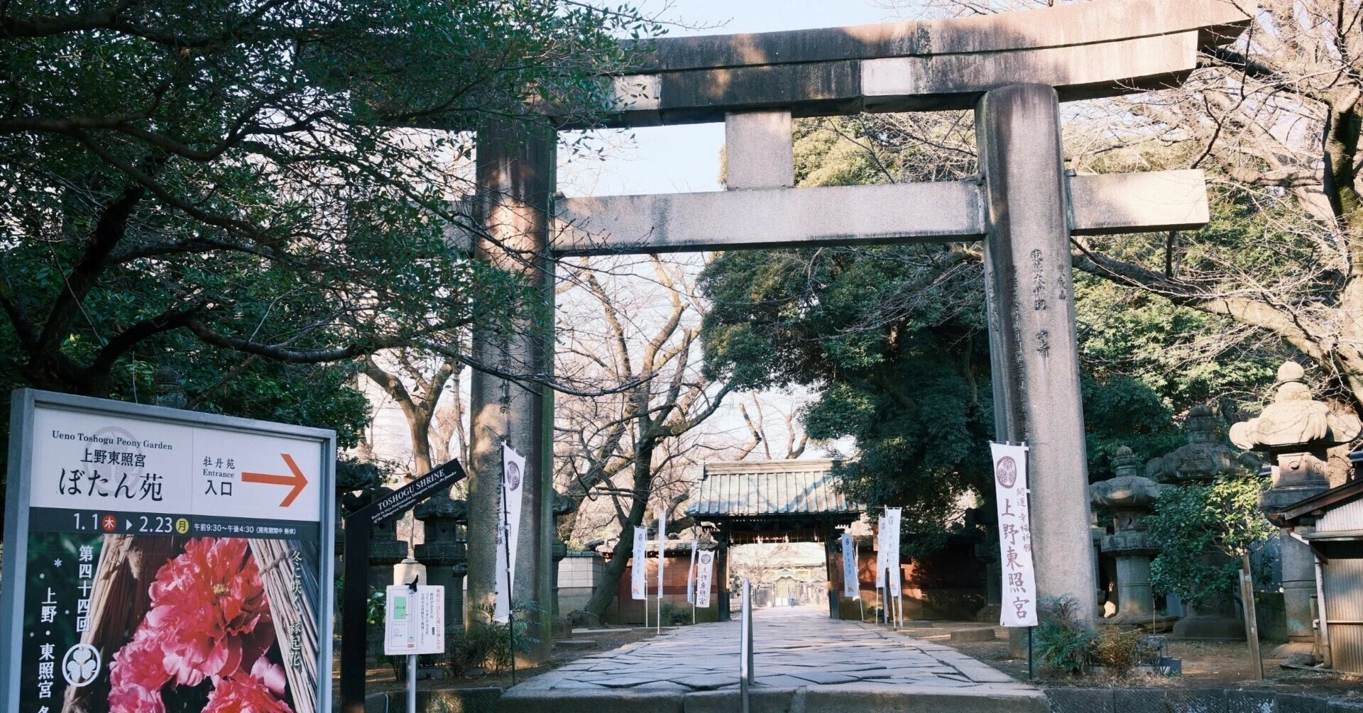 ⛩️030 上野東照宮（東京）｜見どころ満載｜金色殿、クスノキ、ぼたん
